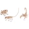 Seasons Seasons 6 in. Mini Animal Skeletons Halloween Decor Z28061 - alternate 1